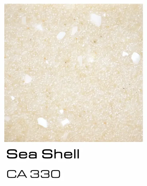 19-sea-shell